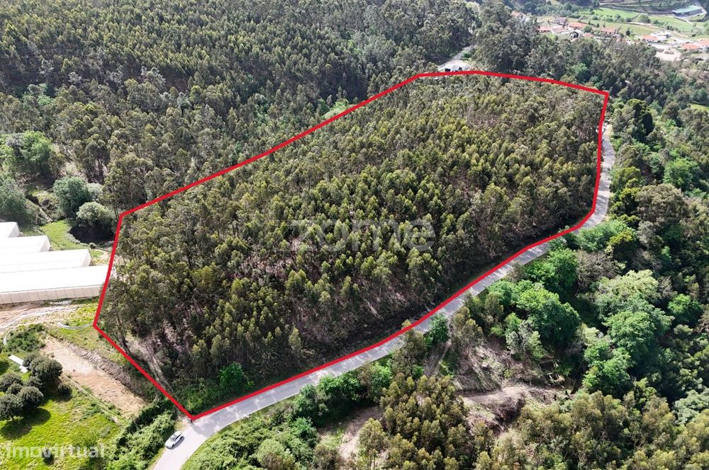 Terreno Com 2 Hectares Povoa De Lanhoso