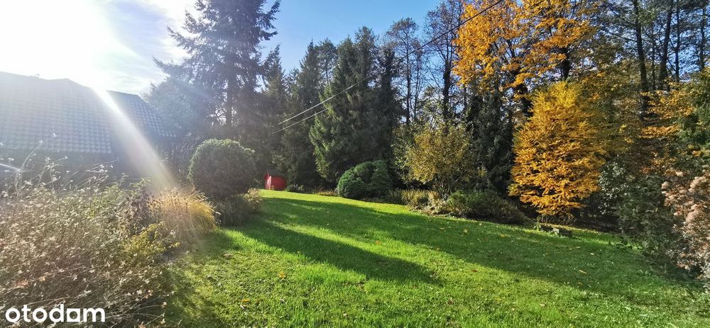 Siedlisko pod Krakowem | Las, strumień, studio | 2950 m²