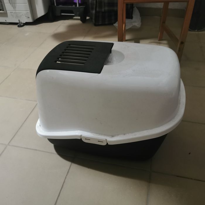 Caixa de gatos Savica Nestor