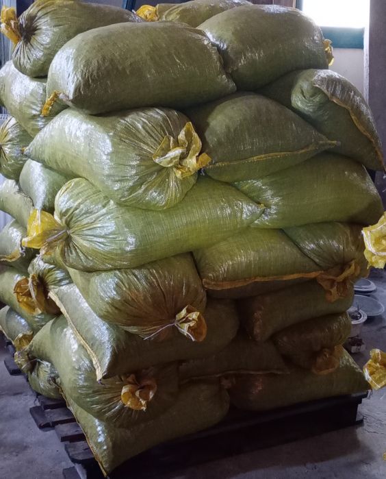 Pellet Węgiel kamienny Orzech  Kostka Groszek  TRANSPORT GRATIS