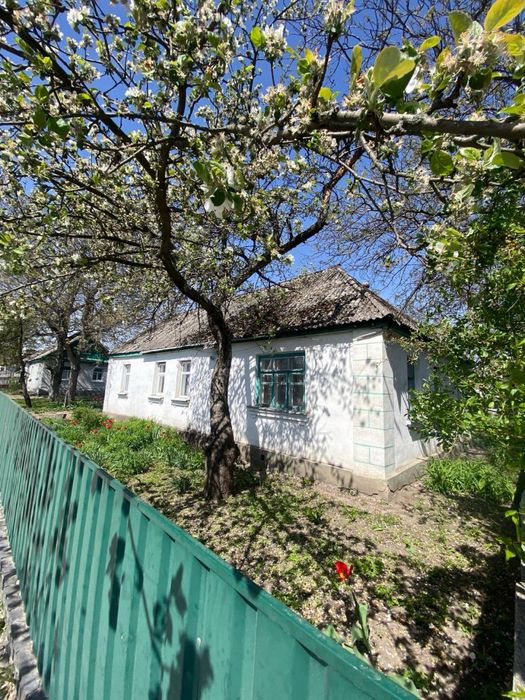 Продам будинок, в затишному районі, недалеко від центру м.Радомишль