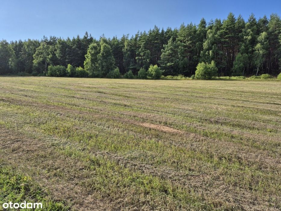 Działki Budowlane Przy Lesie Państwowym - Widok 3