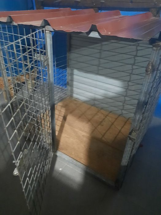 Transportadora animais.