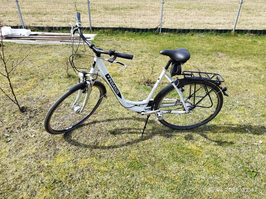 Rower miejski Pegasus