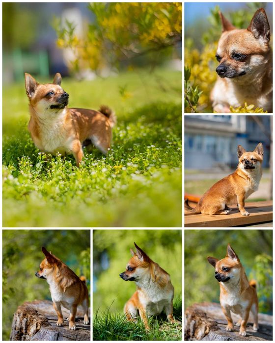 junior семейный нудизм дома 