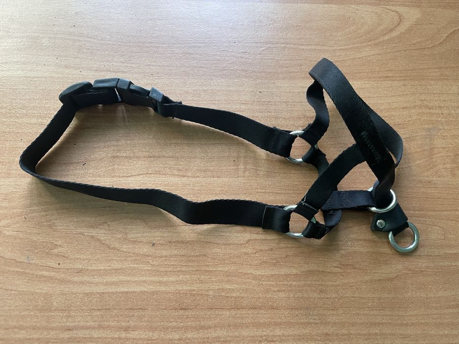 Намордник для собаки