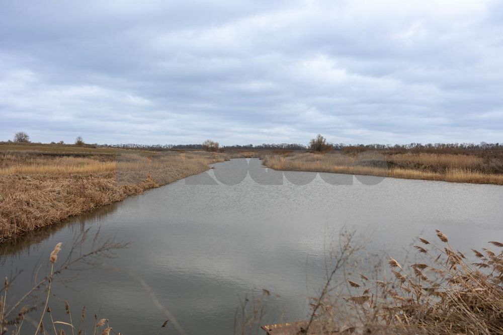 Продаж готового бізнесу, завод, Фастівський район