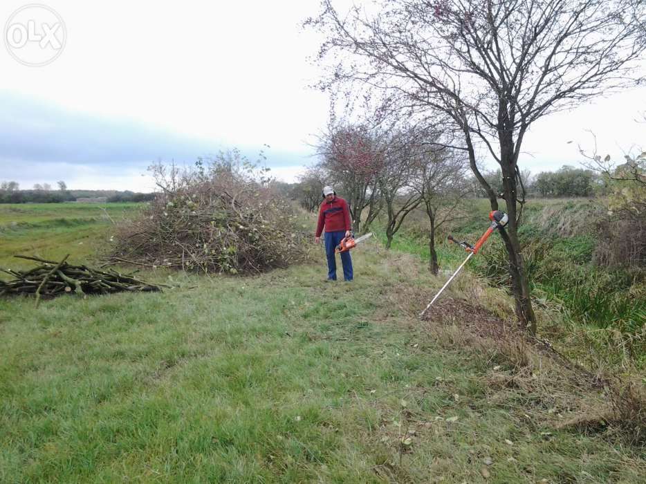 Wycinka drzew , karczowanie korzeni , ŻYWOPŁOTY-cięcie