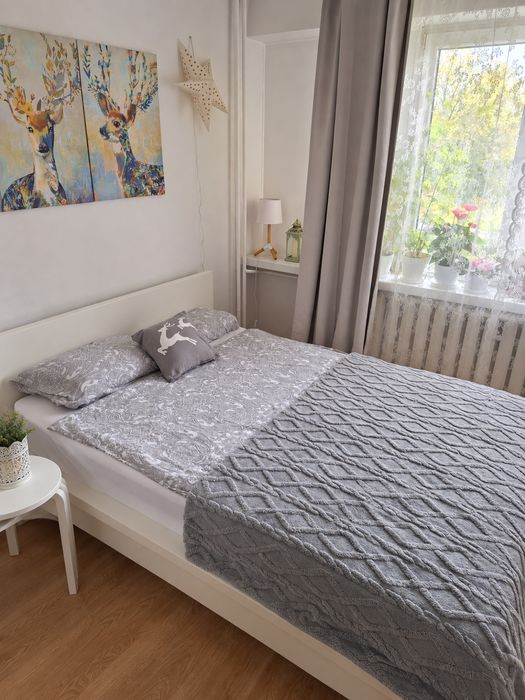 Do wynajęcia 2 pokoje, ulica Heila, Wola Duchacka