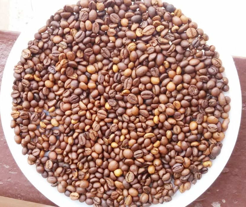 Кава робуста Камерун 16 скрін 1кг