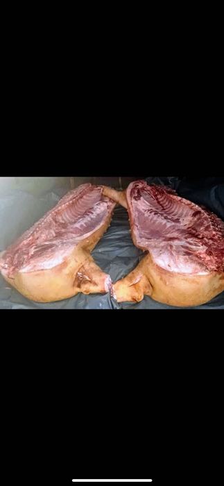Продаж домашнього свиного м'яса Тушка 138грн 1 кг