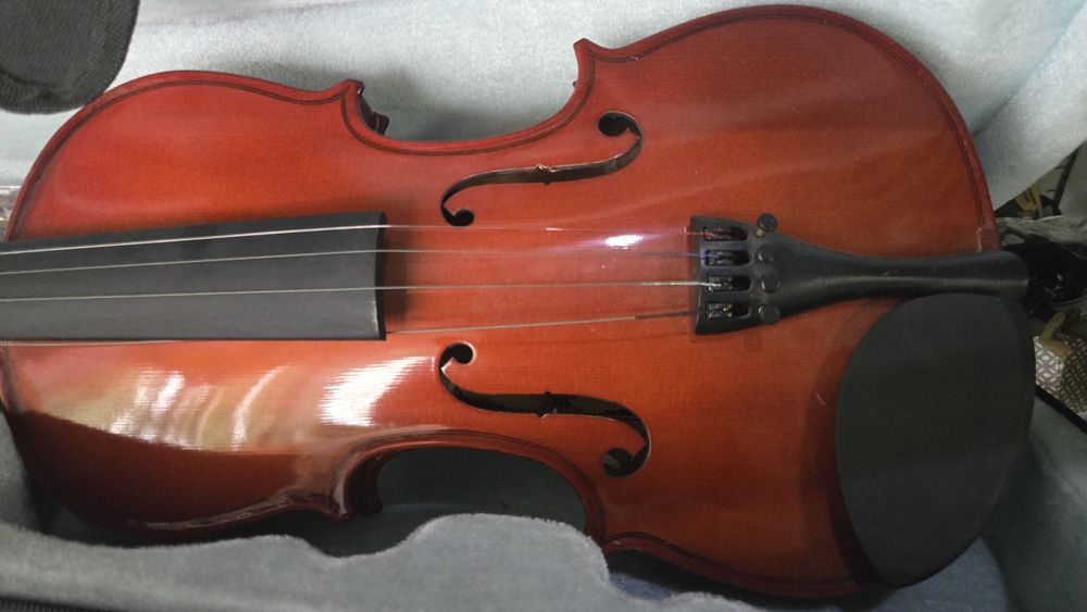 Violino Parrot Novo, Conjunto Completo (Estojo + Arco) — Nunca Usado