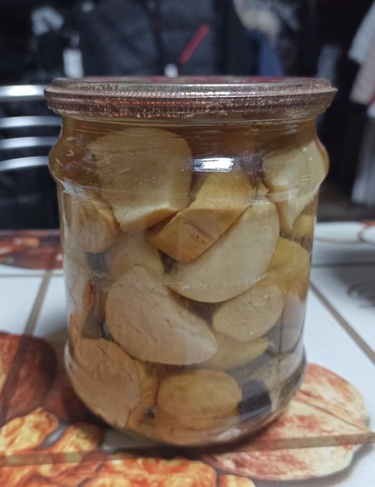 Продам різні види грибів