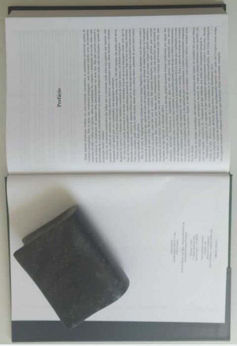 Dicionário etimológico da Língua Portuguesa - Prof. Dr. José Pedro Machado - 5 livros novos na caixa original