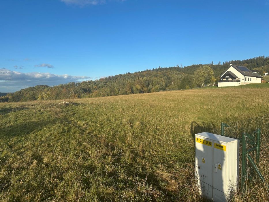 Dzialka budowlana Dębowina 4800 m lub 2400 m za 200zl/m - Widok 2