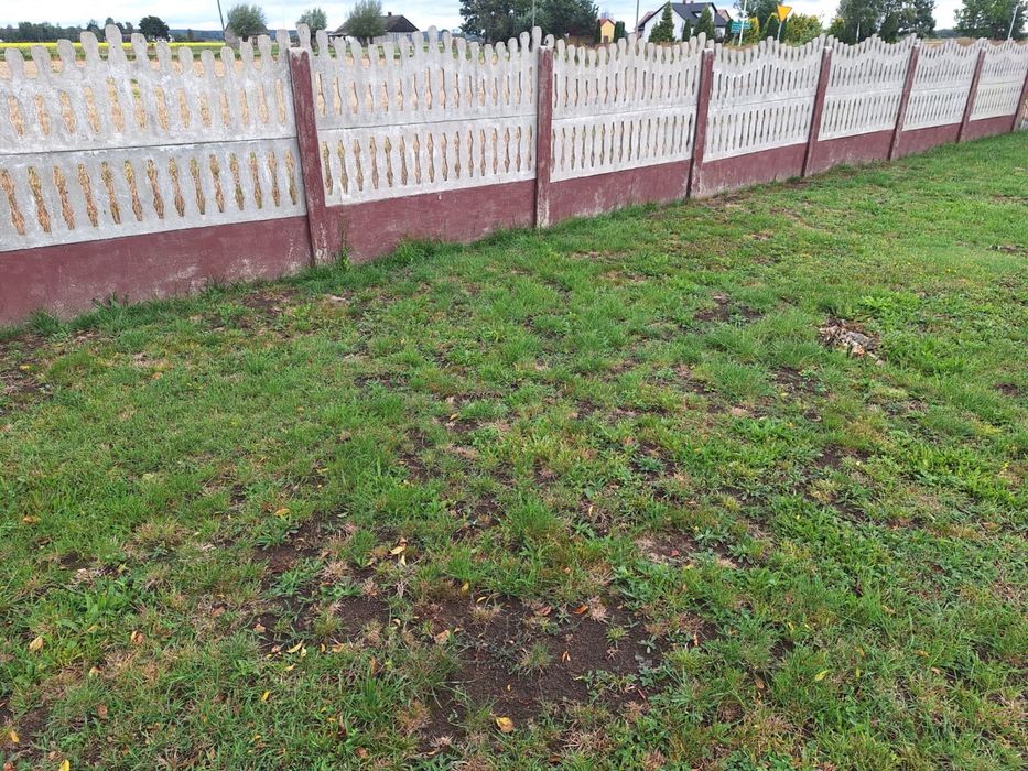 Przęsła ogrodowe betonowe Ogrodzenie betonowe oddam za darmo