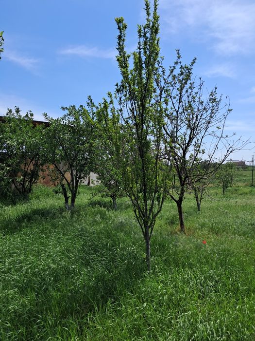 Продам дом в г.Самар (Новомосковск) . С БИЗНЕСОМ!