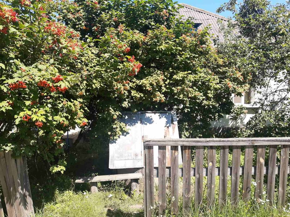 Будинок з господарськими будівлями