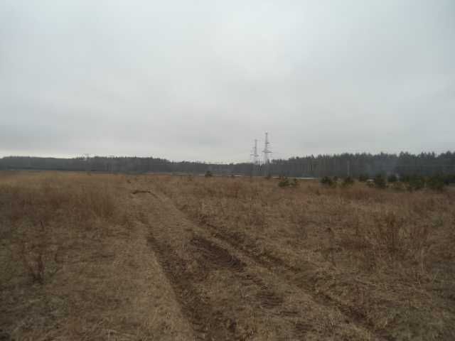 Продажа,обмен,рассрочка участка 3.3Га с.Наливайковка,садовое, лес 300м