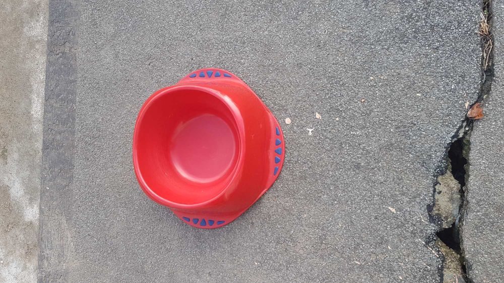 Vendo artigos para animais.