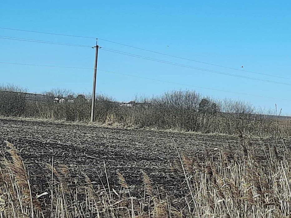 Синяк, 6 га, ОСГ.  Поруч річка Ірпінь