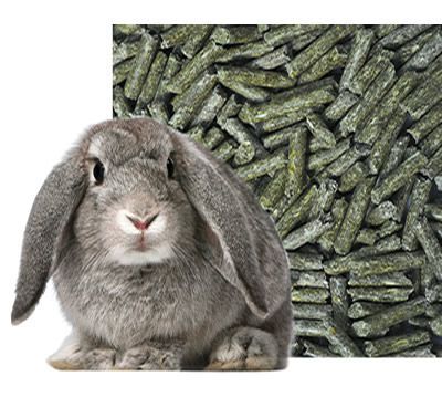 Гранулы,гранулированый комбикорм для кролей