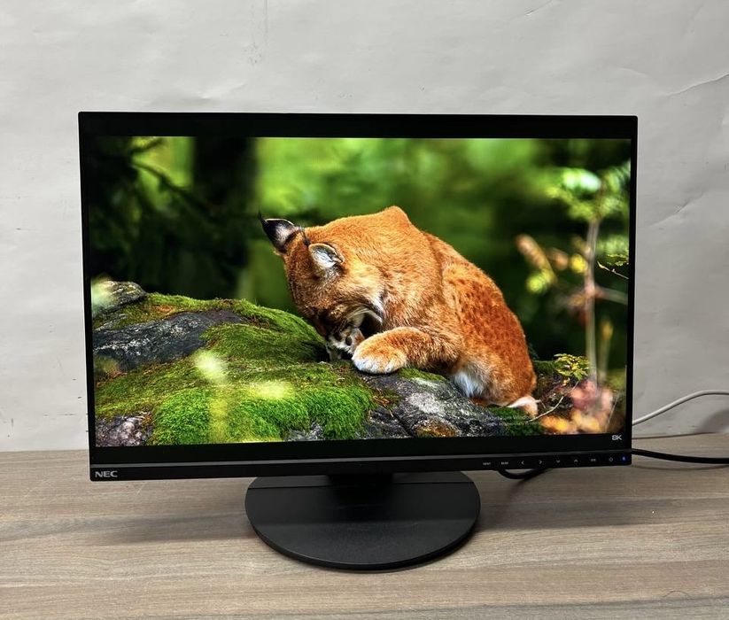 Монітор NEC EA245WMi-2 /IPS 1920×1200/HDMI/DP/професійний