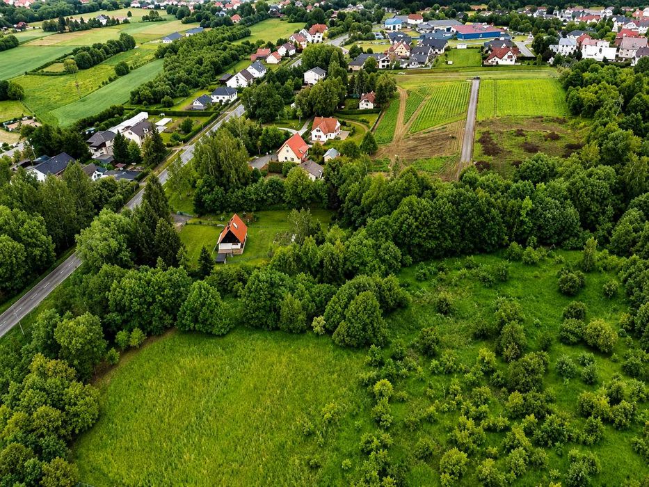 Zdjęcie 3