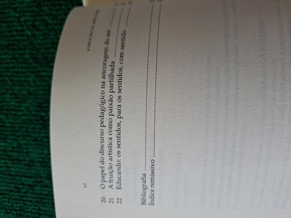 A Fruição da Arte, Hoje - Idalina Sardinga