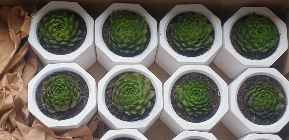 Podziękowanie dla gości