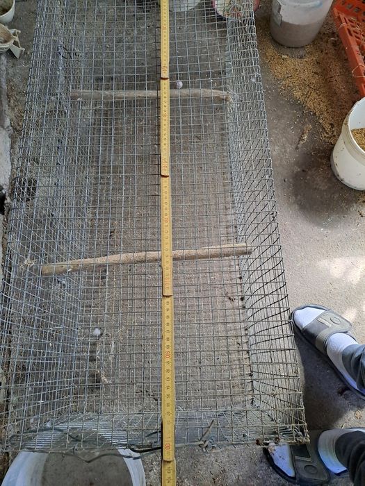 Varias gaiolas bom estado