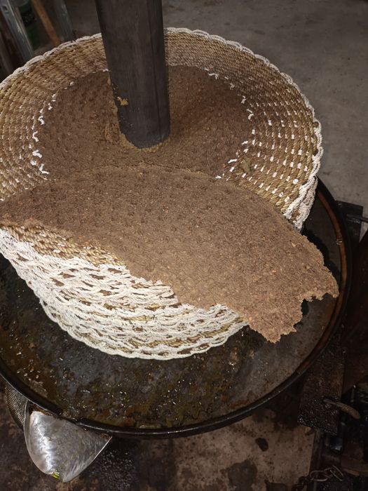 Mini lagar para produção de azeite
