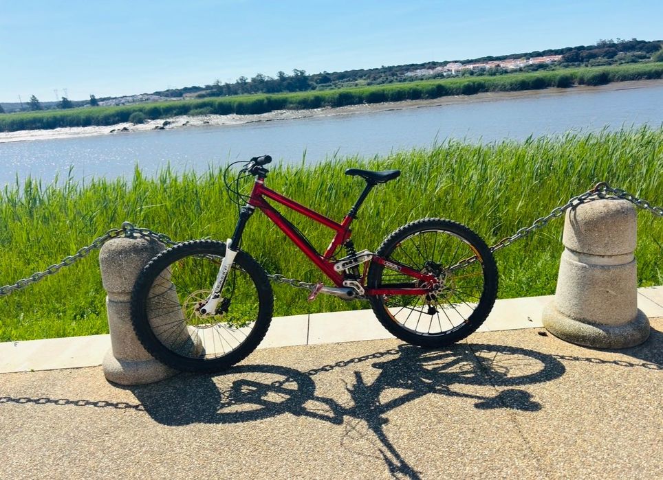 Bicicleta f22 downhill
