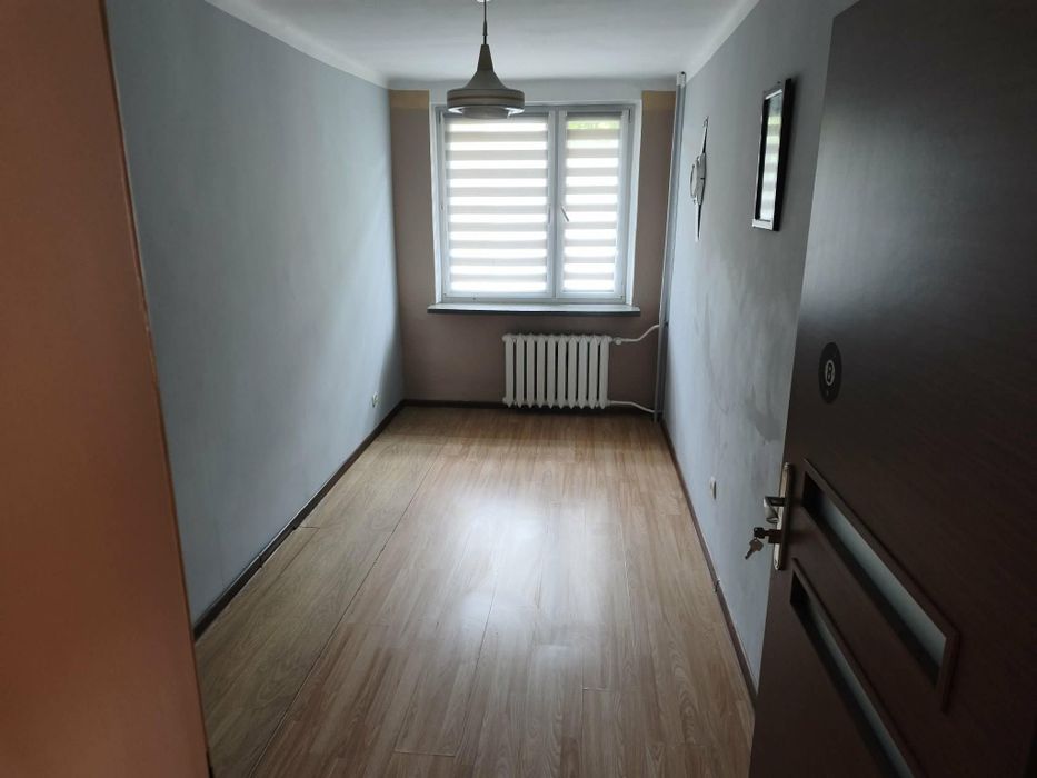 Zdjęcie 7