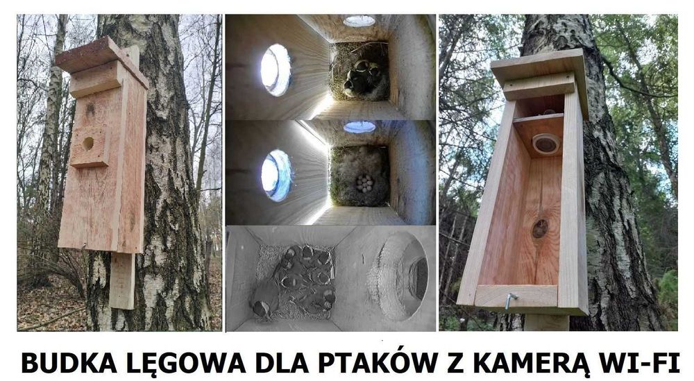 Budka lęgowa dla ptaków z kamerą Wi-fi