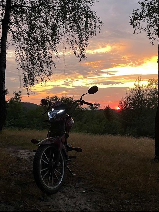 Продам мустанг фіт 2 125