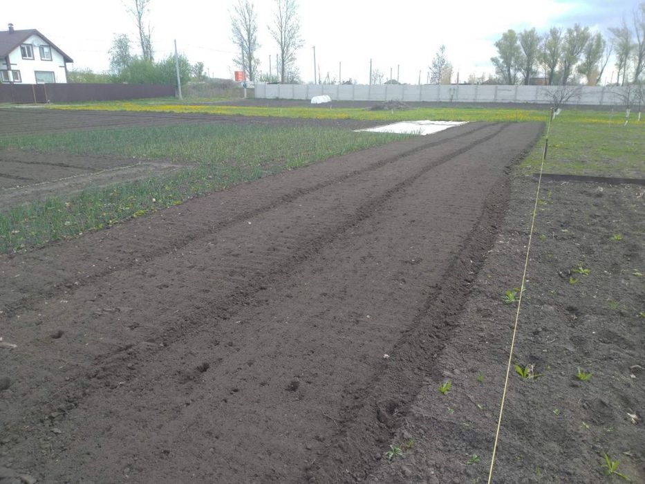 Земельна ділянка