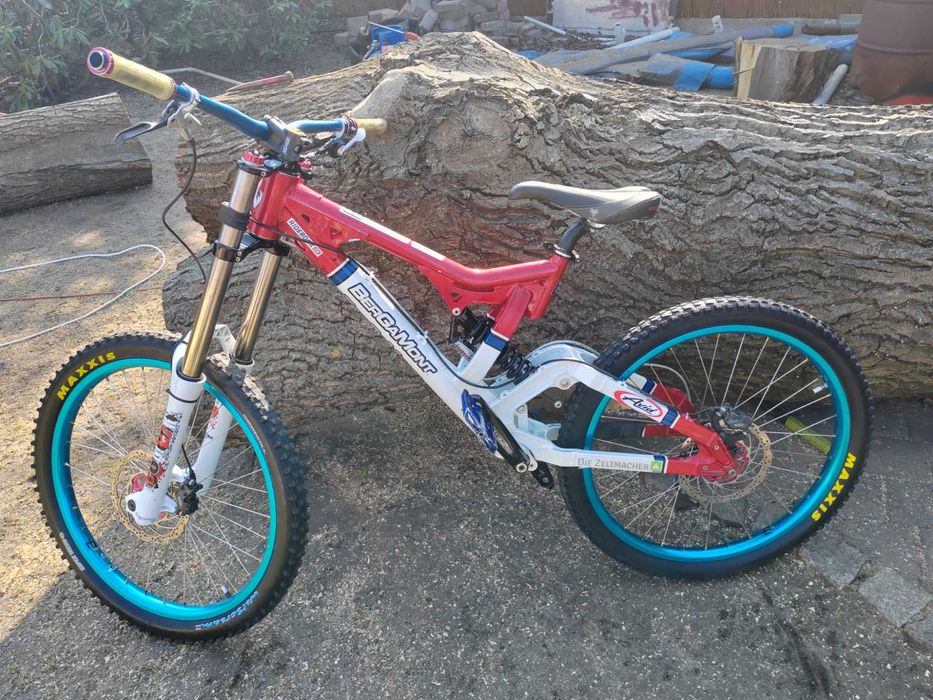 Bergamont Evolve Team DH
