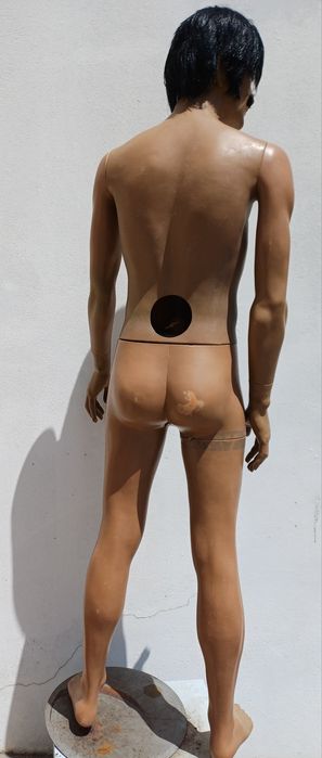 Busto manequim Masculino e feminino