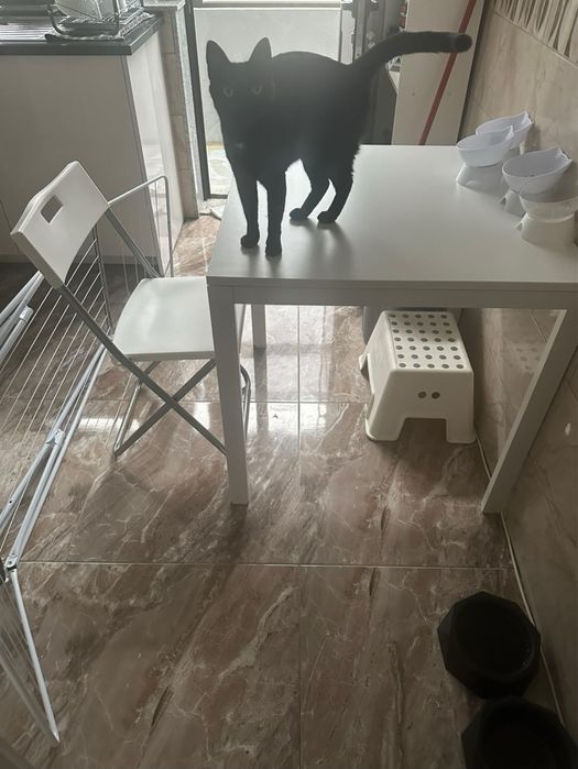 Mesa e cadeiras ikea