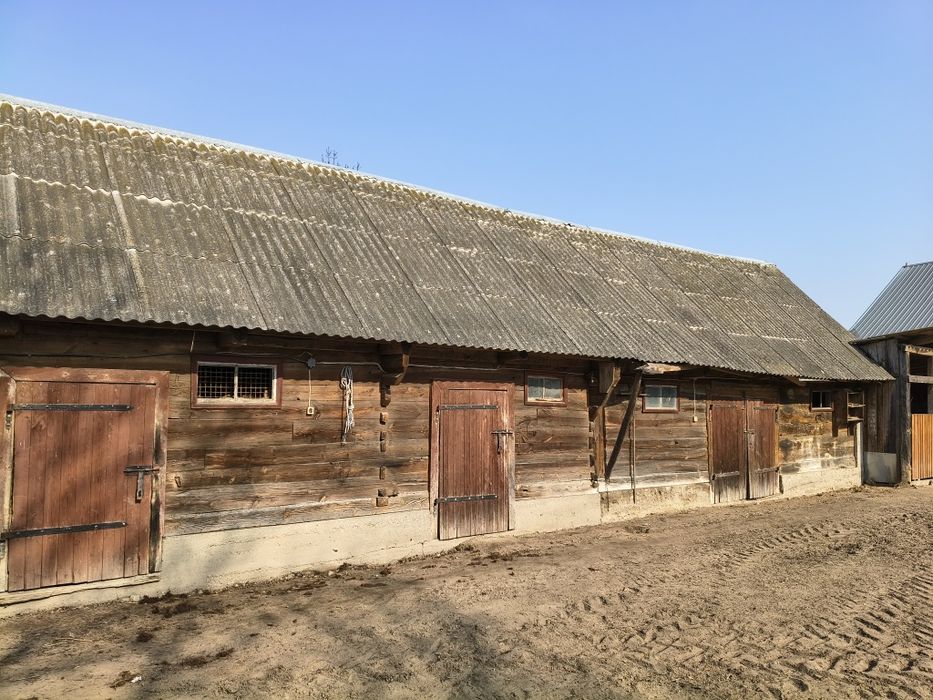 Obora drewnia z bala