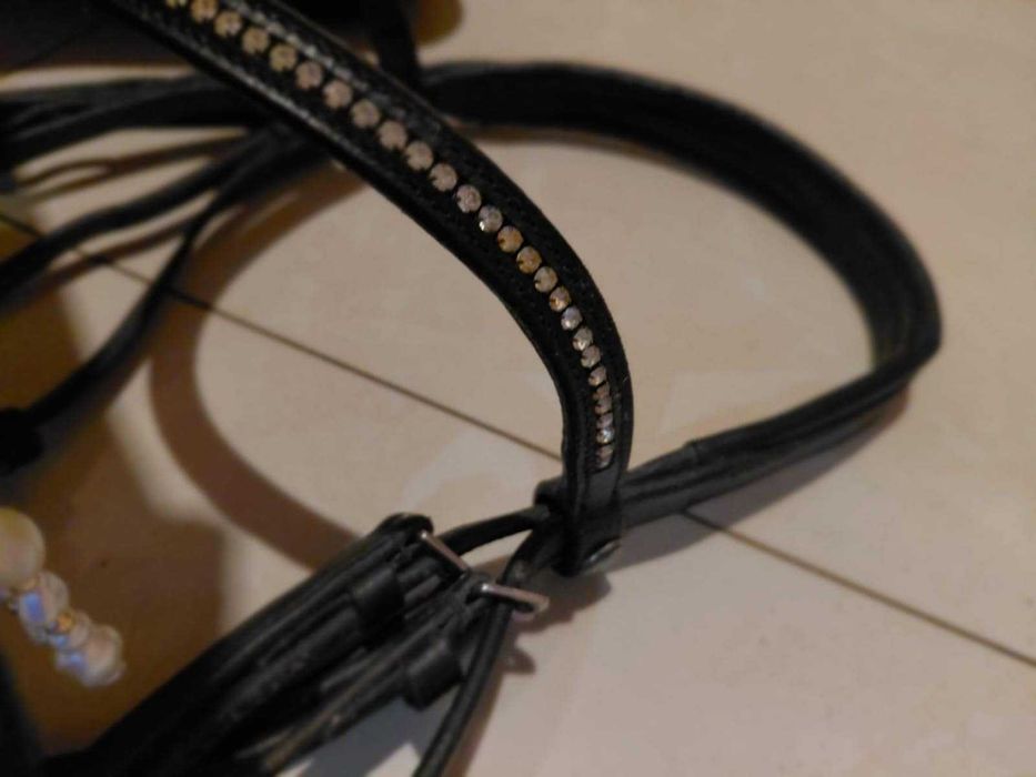 Ogłowie  w rozmiarze XFULL