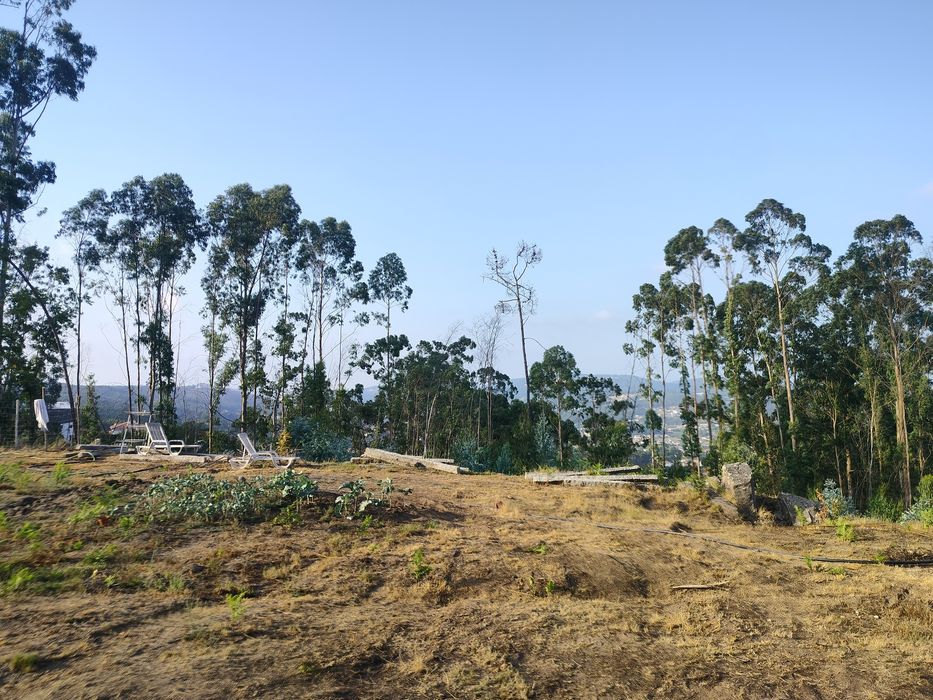 terreno para viver em off grid