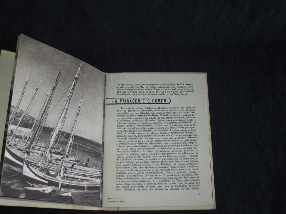 Livros Terras Portuguesas Shell Anos 50