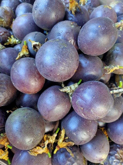 Maracujá roxo muito saboroso