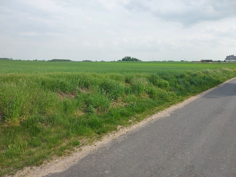 Sprzedam działki budowlane