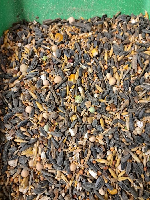 Ziarno mix ptaki dzikie 2zł/kg ,20kg za 40zł ,sikorka,wróbel,bażant