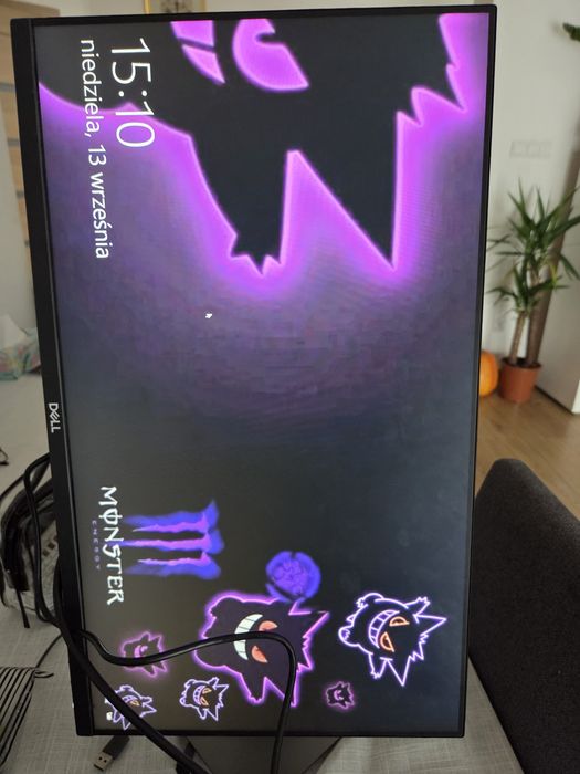 Monitor Dell P2419H