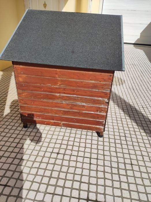 Casota grande para cães