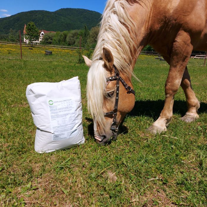 Синергія Актив це високоефективна кормова добавка для ваших улюбленців